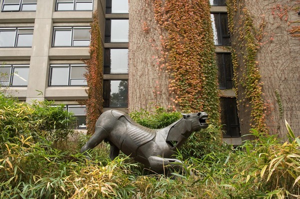 Falling horse