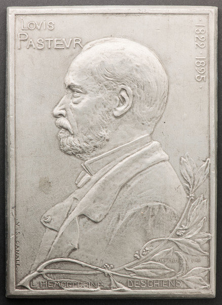 Portrait medal of Louis Pasteur (1822-1895)